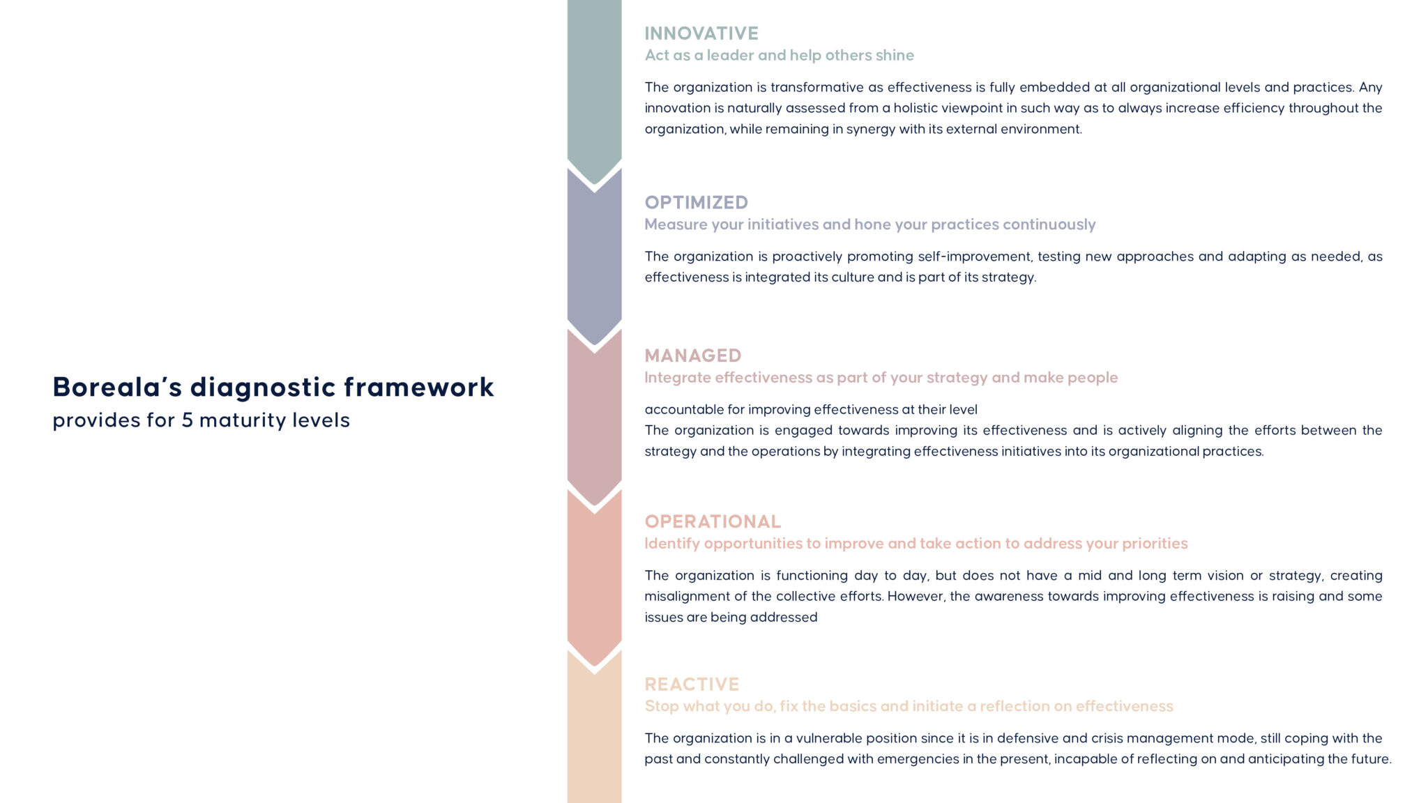 Boreala Graph Layout_Jun 2025_V05_9