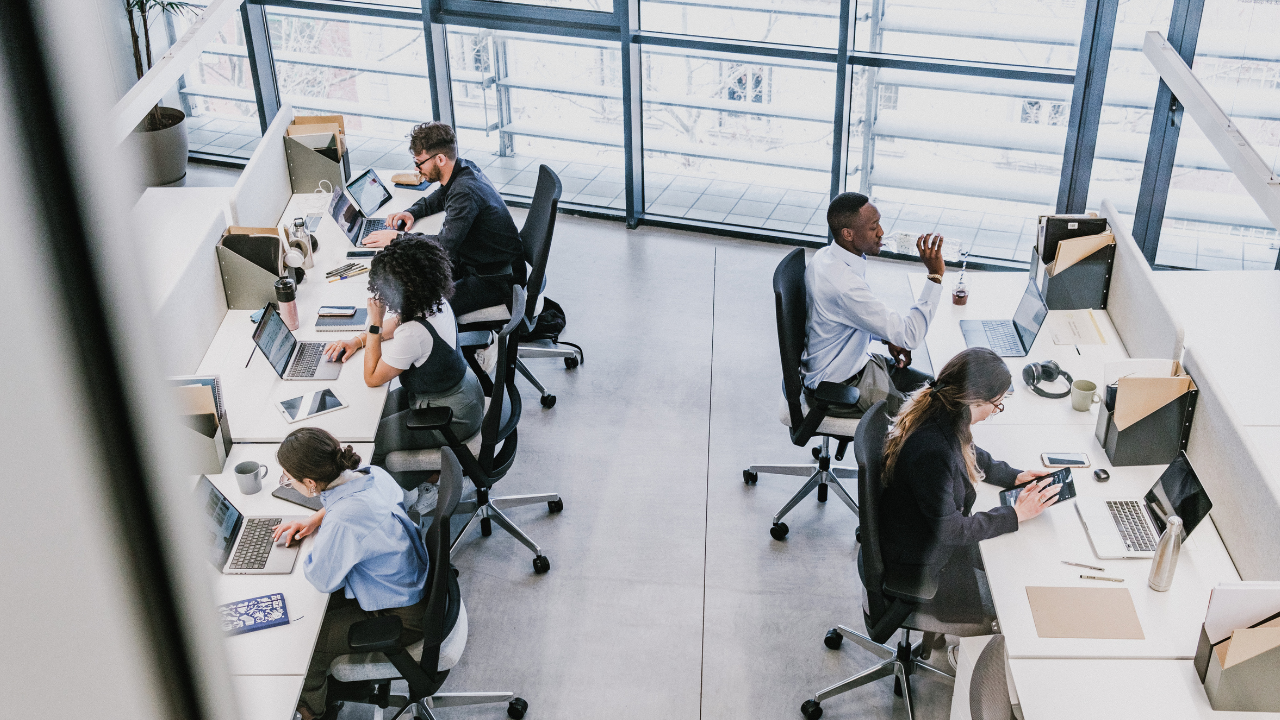 Boreala - Youtube Thumbnail (4)